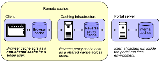 Figure 3. Remote caches